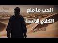 الحب ما منع الكلام الالسنا اسامة الواعظ 