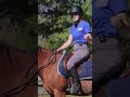 Why Your Horse Doesn’t Respond Right Away