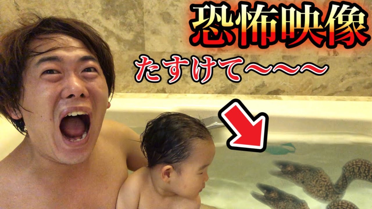 【恐怖映像】ディズニーホテルのお風呂にベビーと大きい魚と入ったら嚙みつかれてやばかった…