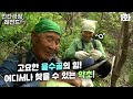 [인간극장 레전드 #92-1] 고요한 을수골의 힘! 어디서나 찾을 수 있는 약초🌱 | 을수골에 불이 밝으면 (1/5) [KBS 120618 방송]