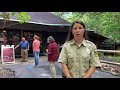 Bays Mountain Park: What to Know on June 1
