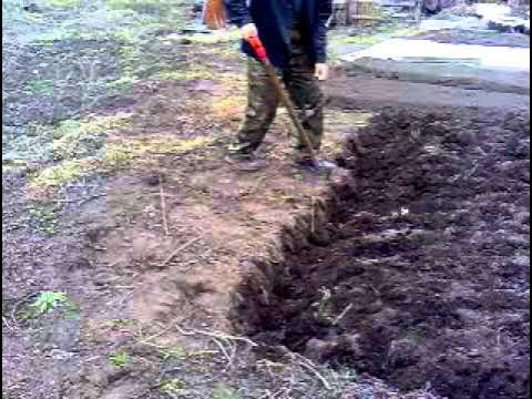 Копать землю вручную. Дачный участок с вспаханной землей. Ручная копка траншей. Копать землю вручную. Копка огорода вручную.