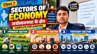Sectors of Economy | Primary, Secondary &amp; Tertiary Sector | Class 3 | Dr. Ashish