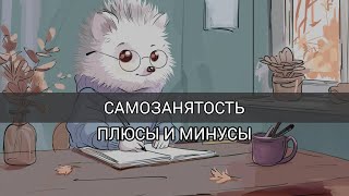 Самозанятость: 6 плюсов и минусов, которые нужно знать #самозанятость #самозанятые #закон