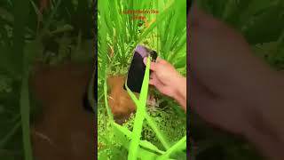 Beautiful Viewm Can We Kiss Foreverkina ft Adriana Pro