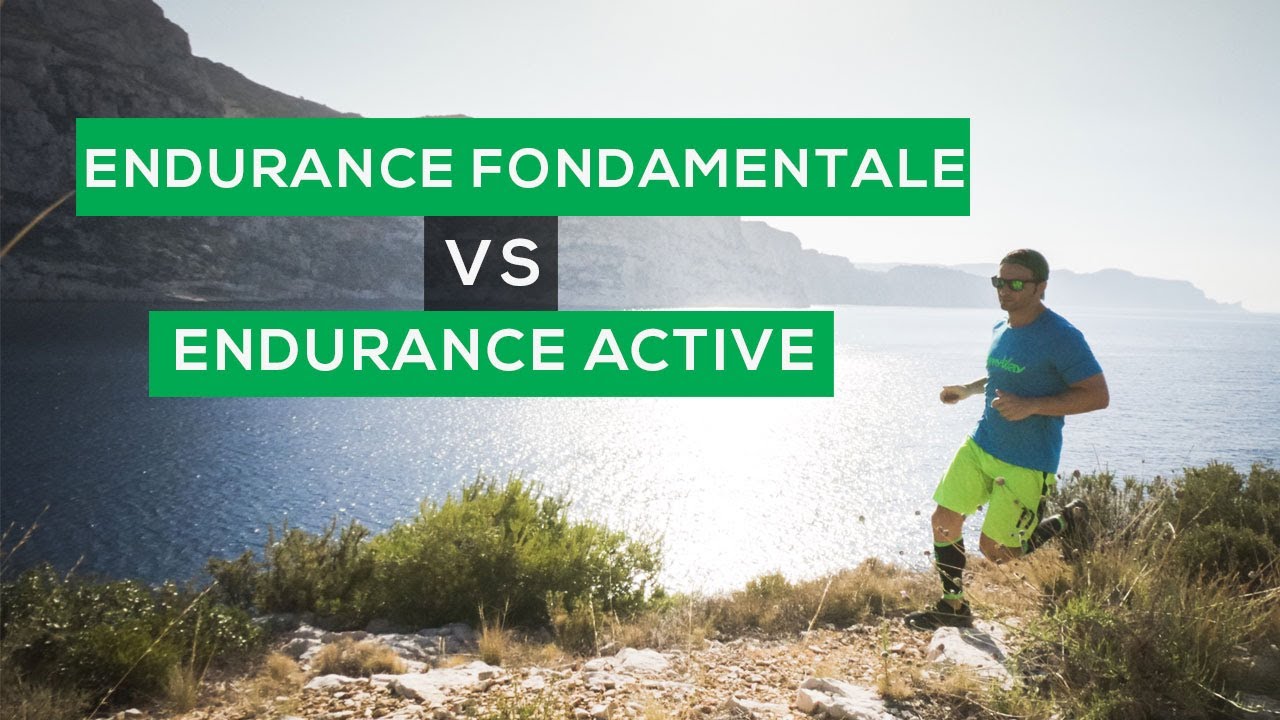 ENDURANCE FONDAMENTALE VS ENDURANCE ACTIVE COMMENT LES UTILISER POUR