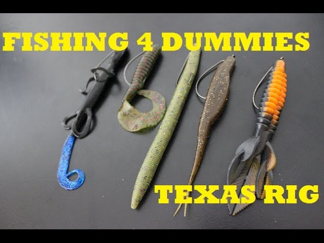 Fishing 4 Dummies- Texas Rig 