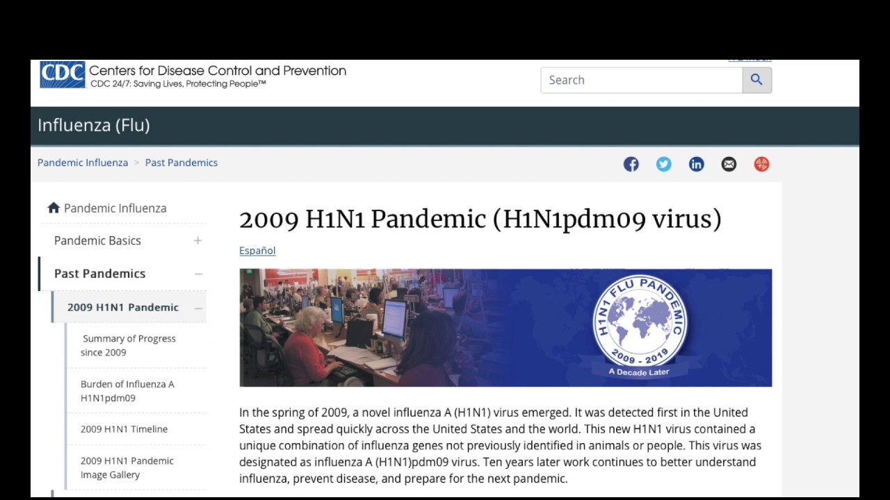 H1N1 Pandemic 2009 - YouTube