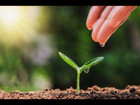 Vidéo: Commencer les semis dans un cadre froid - Pouvez-vous planter des graines dans des cadres froids