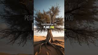 Build a mindset for continuous growth 6