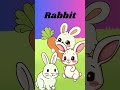 R for rabbit 🐇!  subscribe 🔔 #shorts #rose #rabbit #rat #learn and laugh #preschool #kids learning