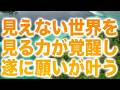 見えない世界を見る力が覚醒し、それによってこれまで見えなかった次元上昇のヒントを掴むことができ遂に願いが叶うd(b0557)