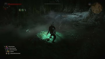 The Witcher 3: Wild Hunt. Contract: Swamp Thing