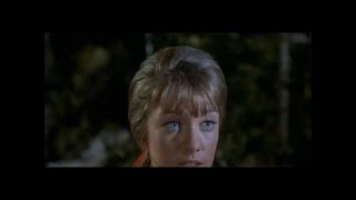 Famous Daniel Boone Season 2 Episode 12 The First Beau Net Worth