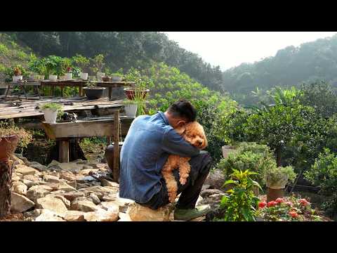 A Heartbreaking Turn on an Orphan Boy’s Journey to Build a Home
