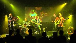 Video thumbnail of "Arvid Jacobsen & Noket band spiller "Pukkelrygget abekat"  2011"