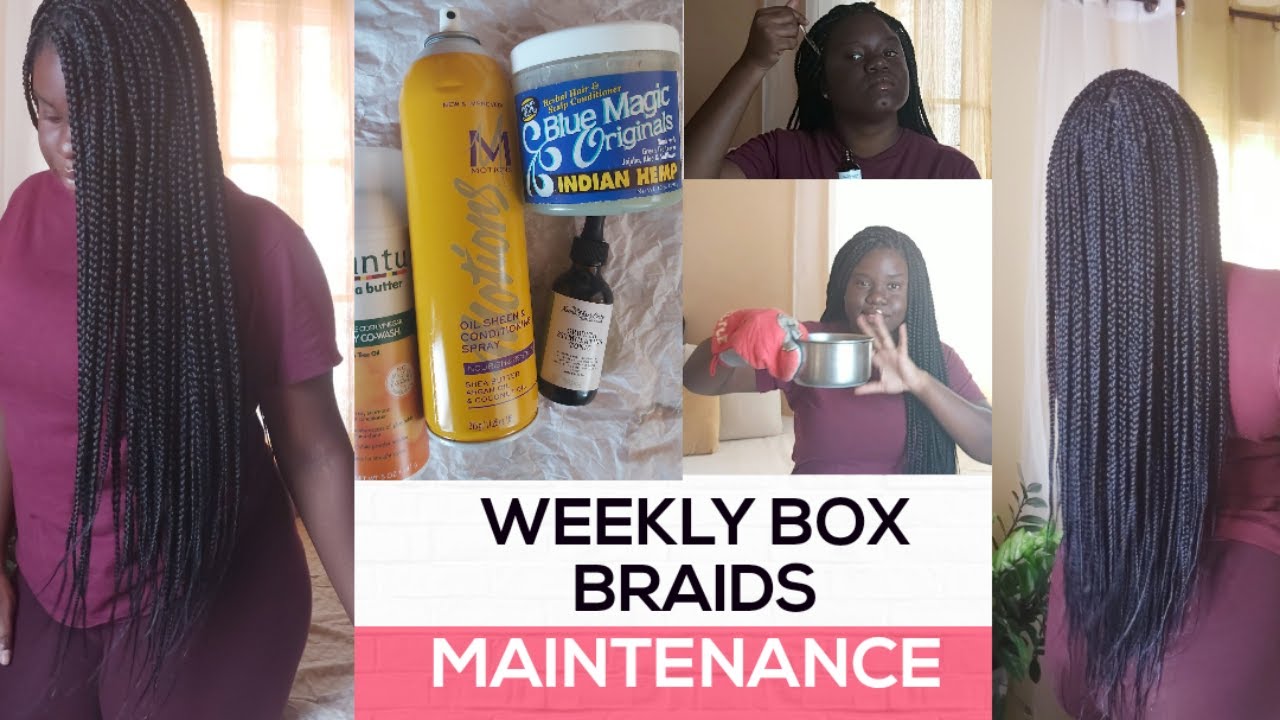 Box Braid Maintenance HOW TO CARE FOR BOX BRAIDS | WEEKLY BRAIDS MAINTENANCE | KARYCHA FRAN ...
