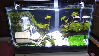 akuarium aquascape waterfall /air terjun. ukuran 50x25x30