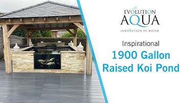 1900 Gallon Koi Pond, Evolution Aqua Nexus and K+Advanced Filter!