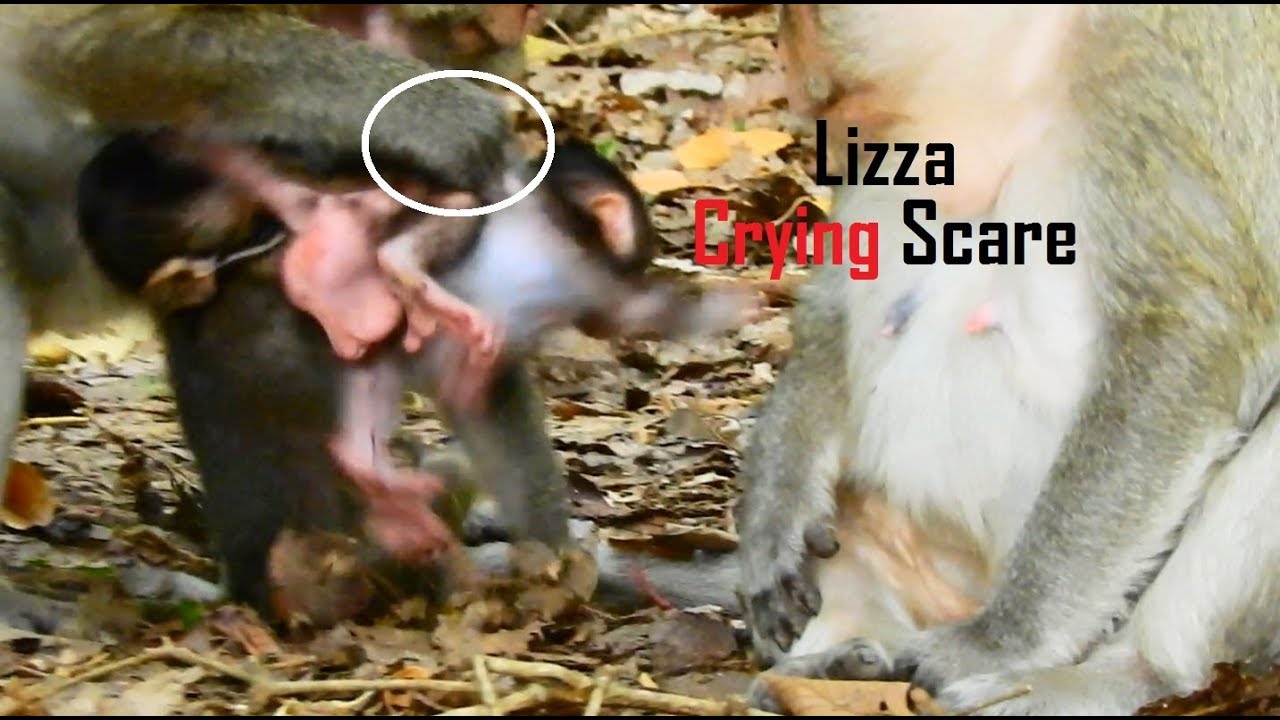 foundry Lizza Screaming Scare Catching On The Back Lift Up/So Pity Lizza Is Caught Bad