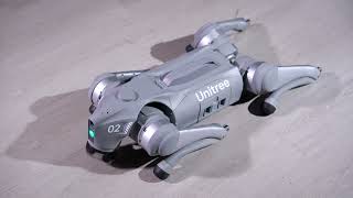 4, Unitree Go2 Calibration