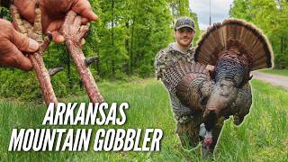 I SHOT HIM LEFT HANDED!? (A Perfect Arkansas Turkey Hunt)