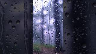 Gentle rain falling on a windowpane overlooking a misty forest #2