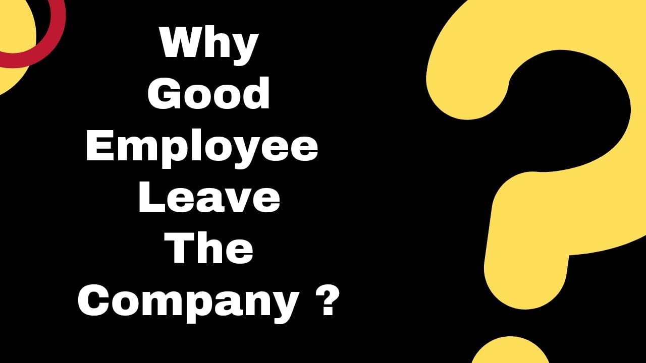 Why a Good Software Engineer Leave the Company? 