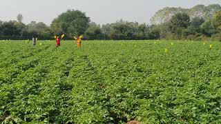 The best IPM practices in organic, natural farming. screenshot 5