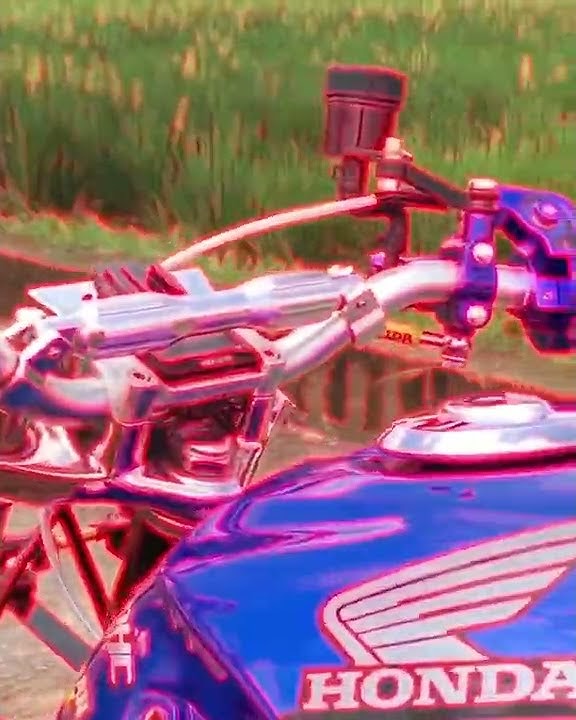 story'wa tiger cjdw terbaru || herex tiger tiktok instagram #herex #storywa #shorts