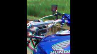 Storywa Tiger Cjdw Terbaru  Herex Tiger Tiktok Instagram herex storywa shorts