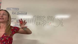 Athlete Statistics AP Biology Exam Prep Unit 2 Cell Structure and Function Review