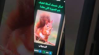 حملوا تطبيق جمعتنا ❤️ https://play.google.com/store/apps/details?id=com.baselco.trust_betrayal_game