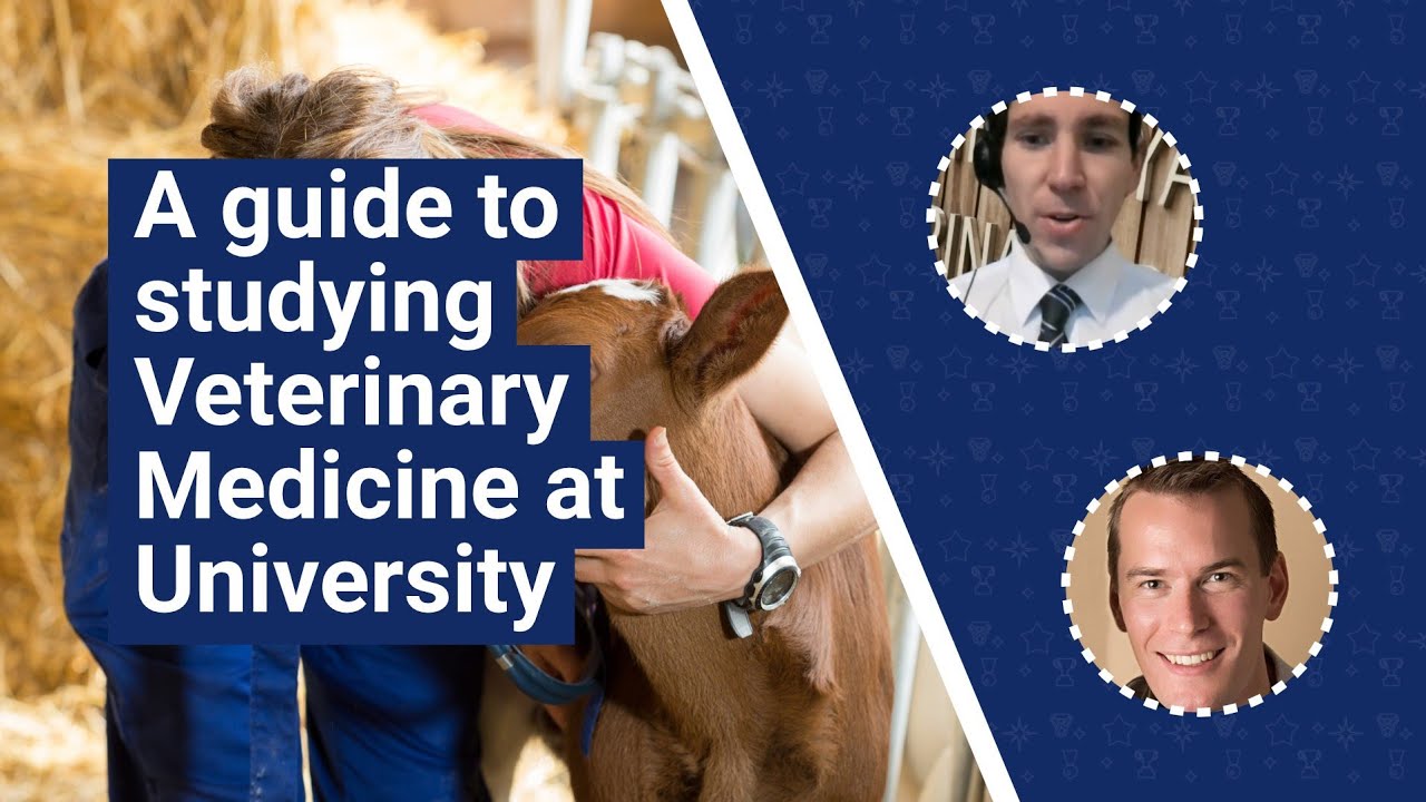 'A guide to' video thumbnail