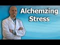 Patient Webinar: Alchemizing Stress - The Shade and the shine