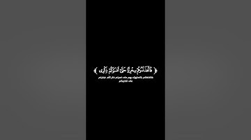 كروما شاشة سوداء قرآن كريم 🌿تلاوة من سورة المؤمنون 🌿القارئ رعد الكردي 🌿