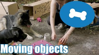Confidence building with moving objects