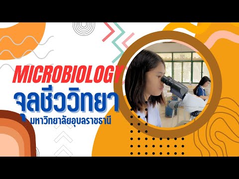 แนะนำ หลักสูตรจุลชีววิทยา มหาวิทยาลัยอุบลราชธานี [Microbiology program, Ubon Ratchathani University]