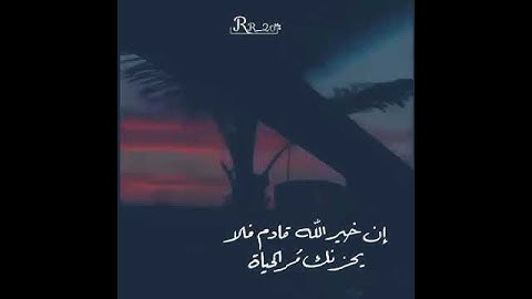 #صوت_رائع #فيديوهات_دينية_قصيرة #shortvideo #القرآن_الكريم_راحة_نفسية #تلاوة #القرآن_الكريم 🤍