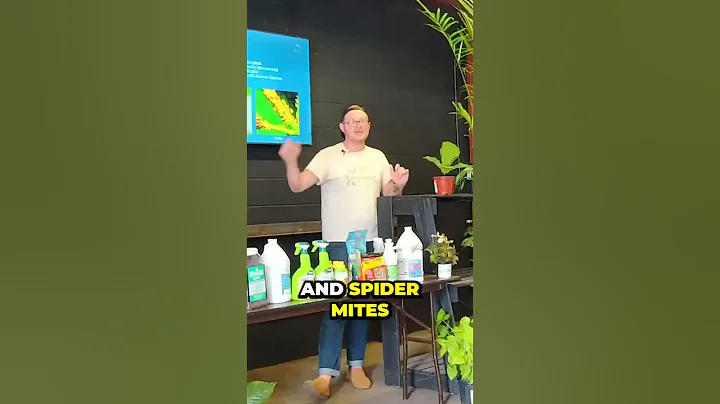 Secret to Spider Mite Infestations - You Won't Believe!