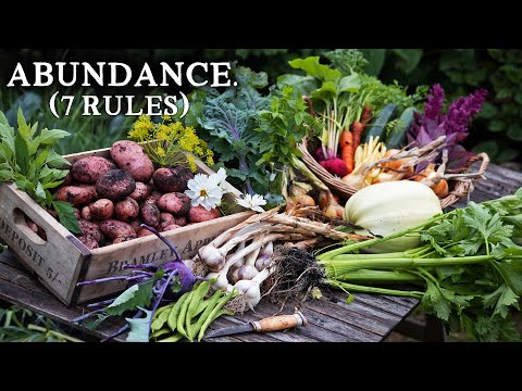 7 Rules For A Thriving Kitchen Garden (For Beginners)