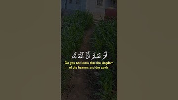 آيات قصيرة من #القرآن_الكريم #المصحف #راحة_نفسية