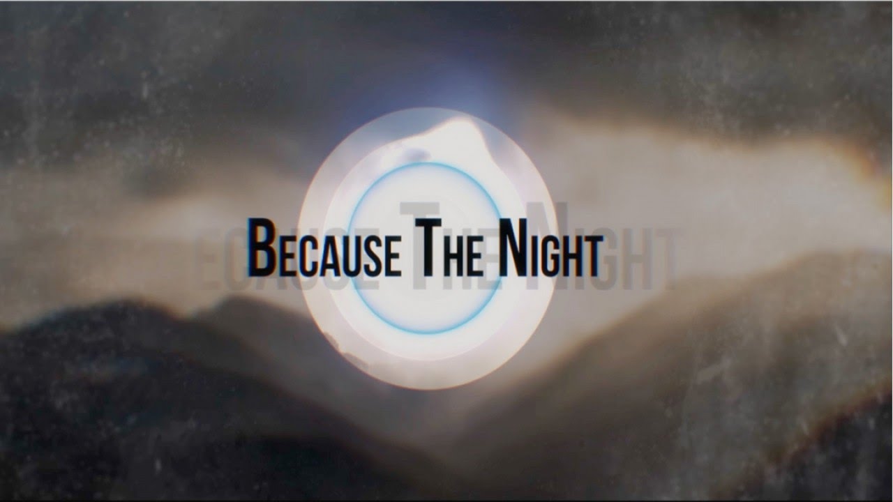 Stereo Palma - Because The Night (Official Lyric Video)