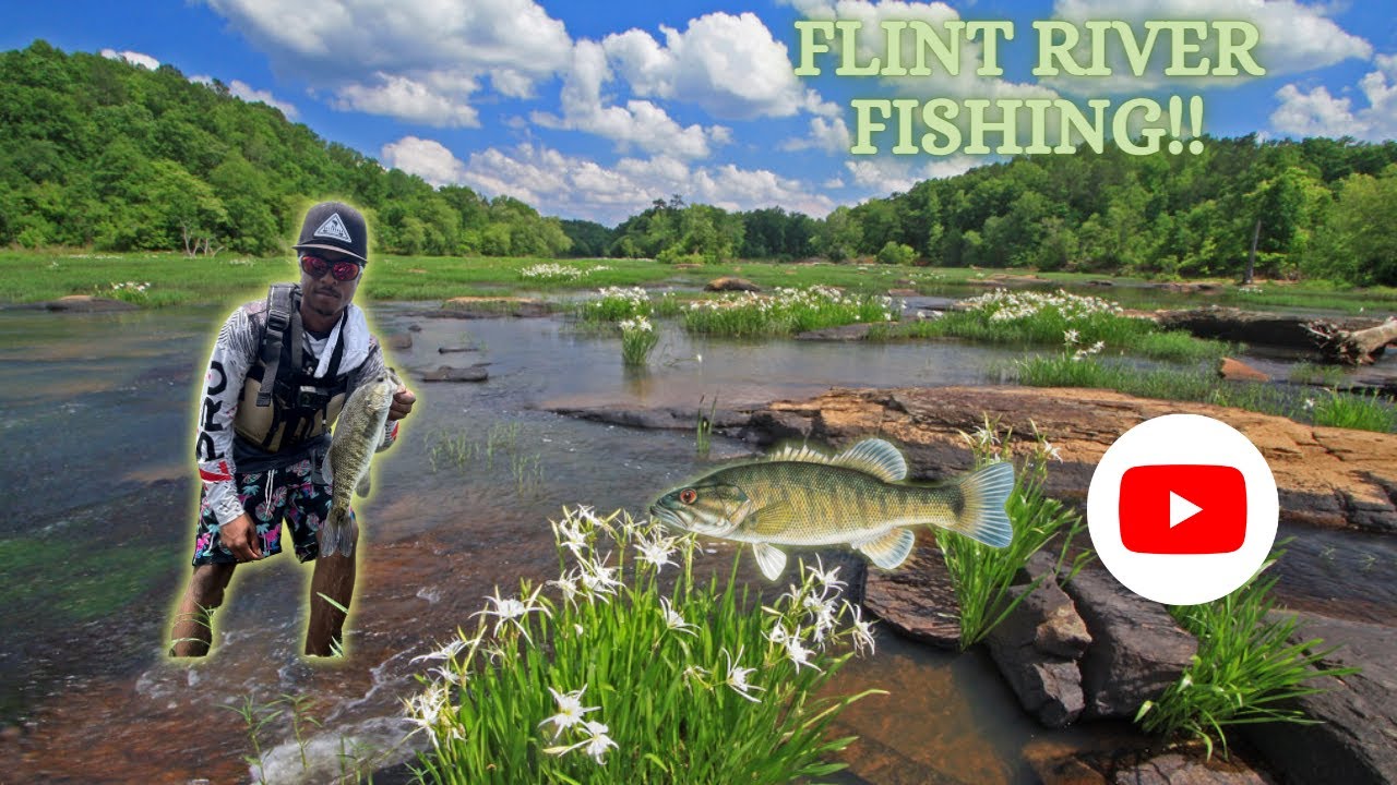 Flint river shoal bass fishing!