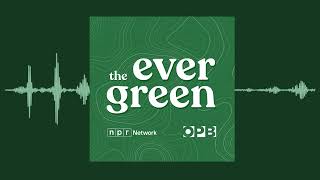 Black Artists of Oregon | The Evergreen | OPB by Oregon Public Broadcasting 235 views 1 month ago 17 minutes