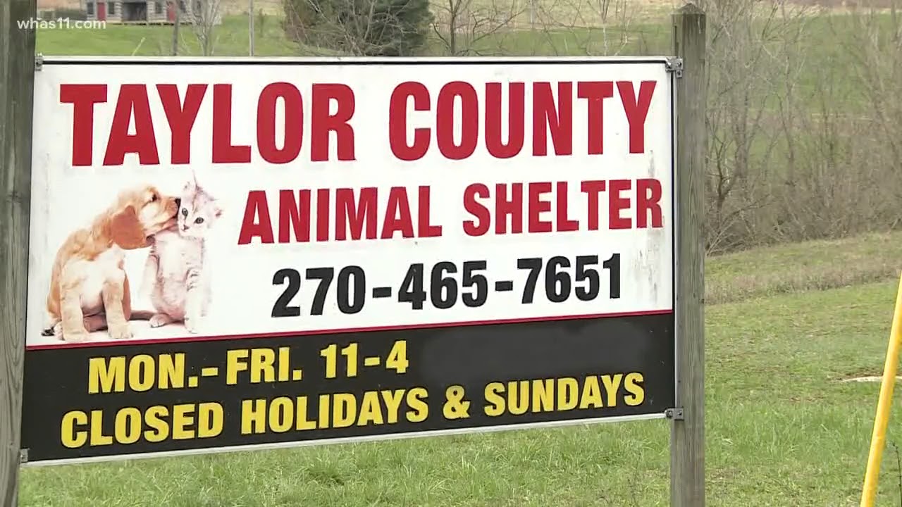 Couple pleads not guilty to animal cruelty in Taylor County - YouTube