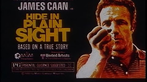 Hide In Plain Sight (1980) TV Spots