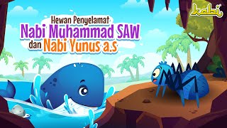 Hewan Penyelamat Nabi Muhammad SAW & Nabi Yunus AS | Kisah Teladan Nabi | Cerita Islami | Muslim