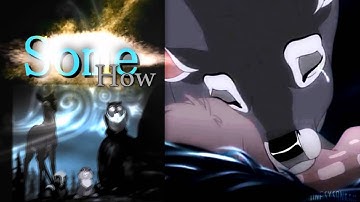 šh⊕† ïη †hε dαrκ {; FULL MEP