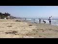 Yellow Lab at Dog Beach, Cayucos, CA